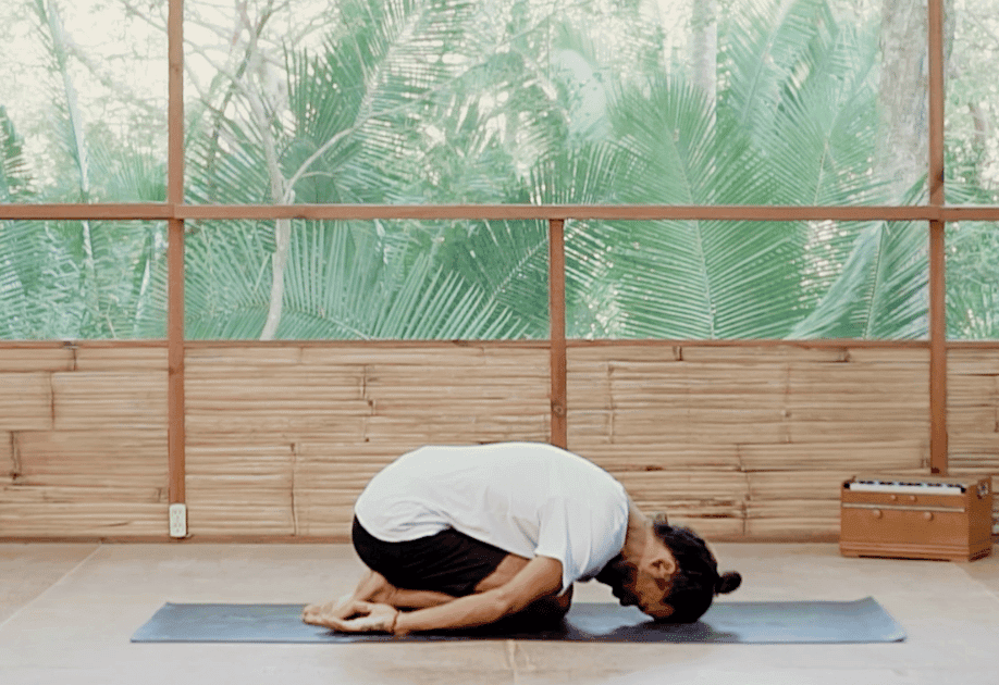 Wake & Shake I