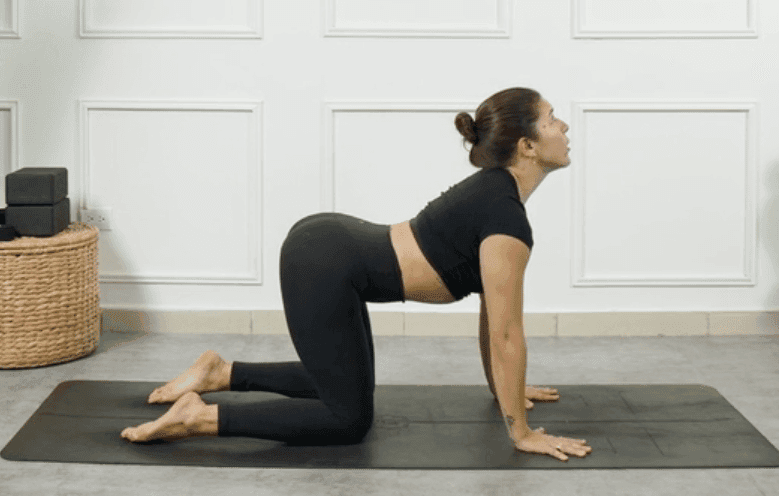 Upper Body Cool Down